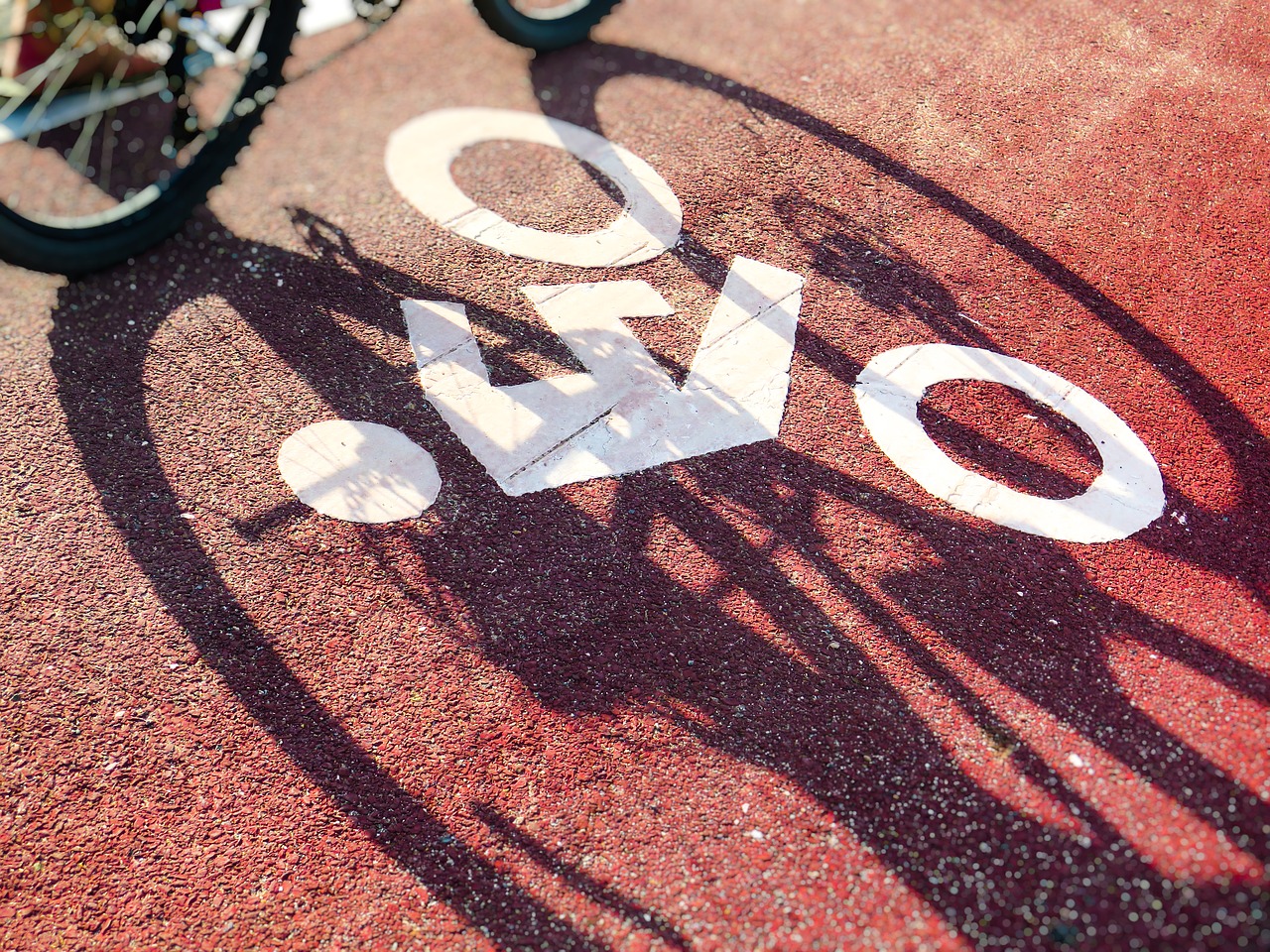 Bike Track Biking Lane Cyclist  - AbsolutVision / Pixabay